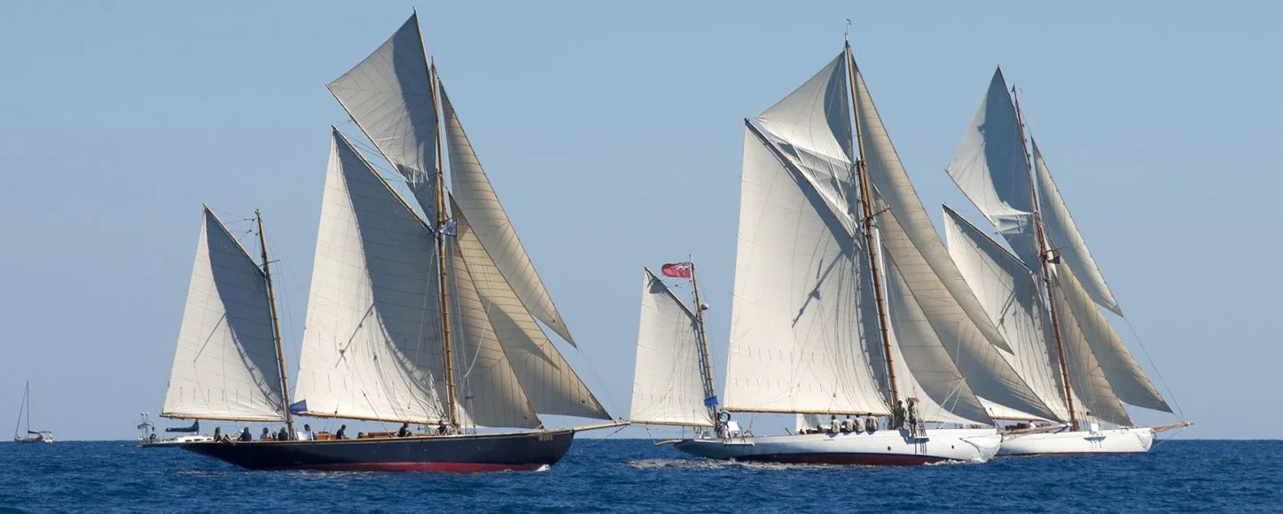 Sailing yacht regatta