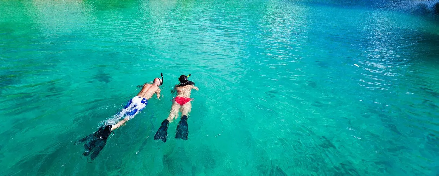 Couple snorkelling in the sea