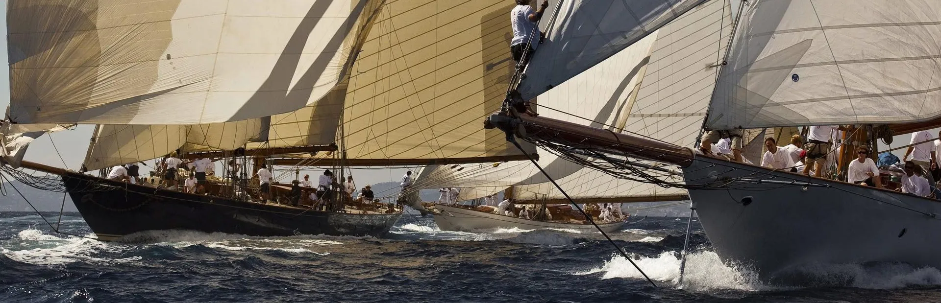 Yacht regatta with Sailing yacht Elena